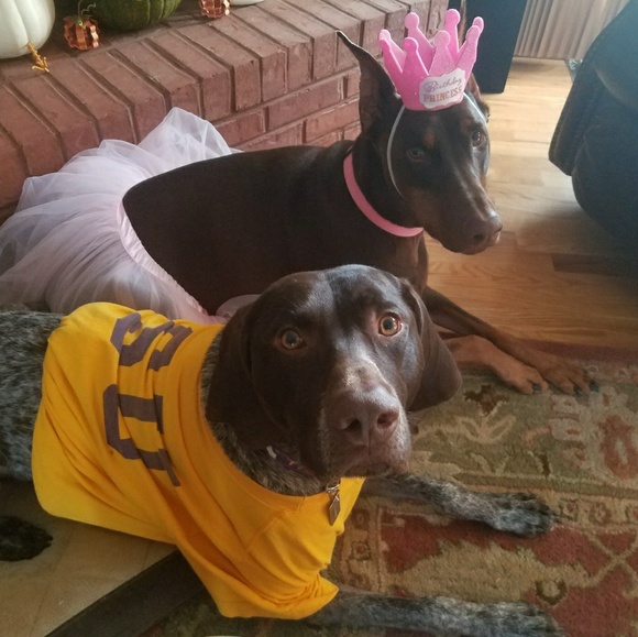 Meet your Posher, Rebecca - Picture 4 of 6